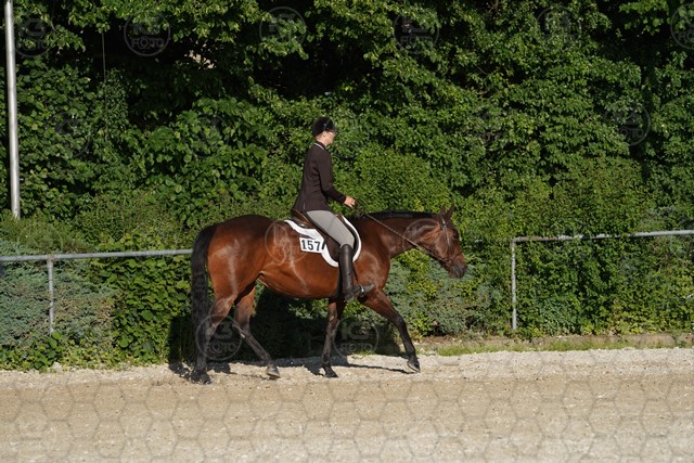 sA9K05978.JPG